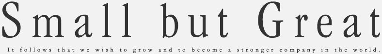 Small but Great.It follows that we wish to grow and to become a stronger company in the world.