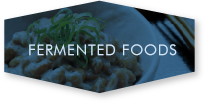 FERMENTED FOODS